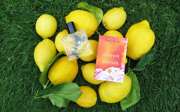 Miller harris discount citron citron perfume