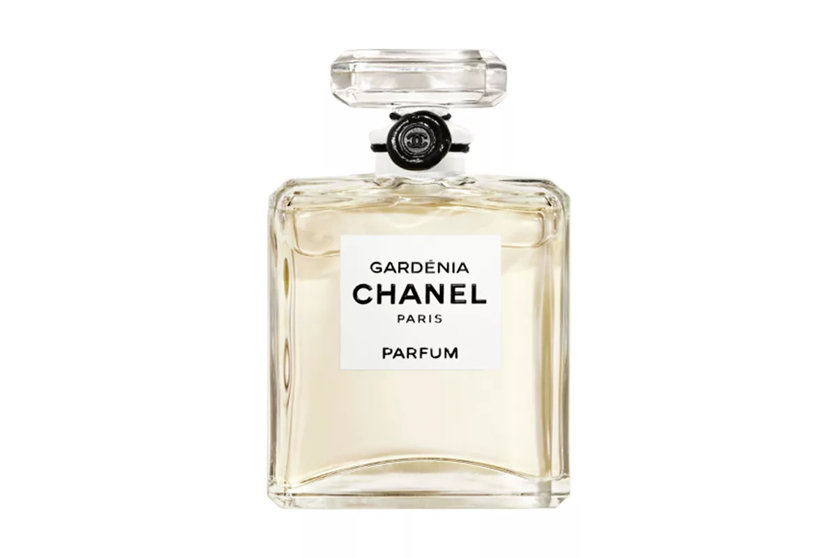 Comète Chanel perfume - a new fragrance for women 2024